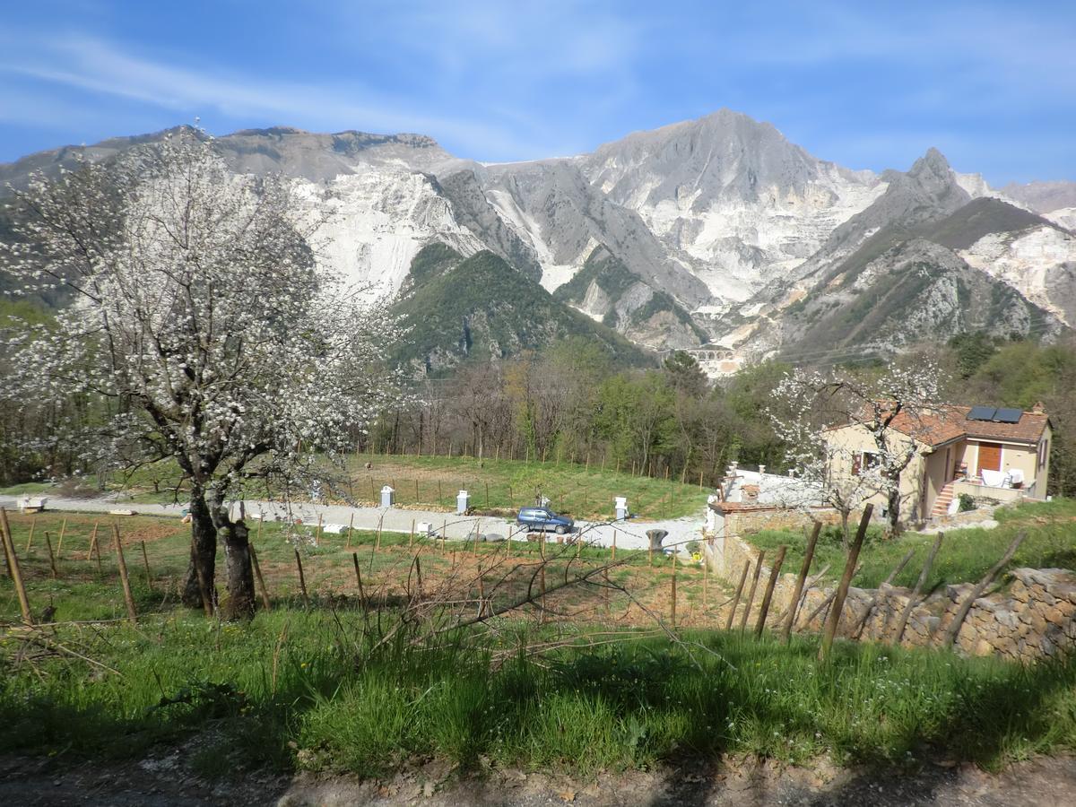 Galleria Ars Apua Bed & Breakfast Carrara Exterior photo